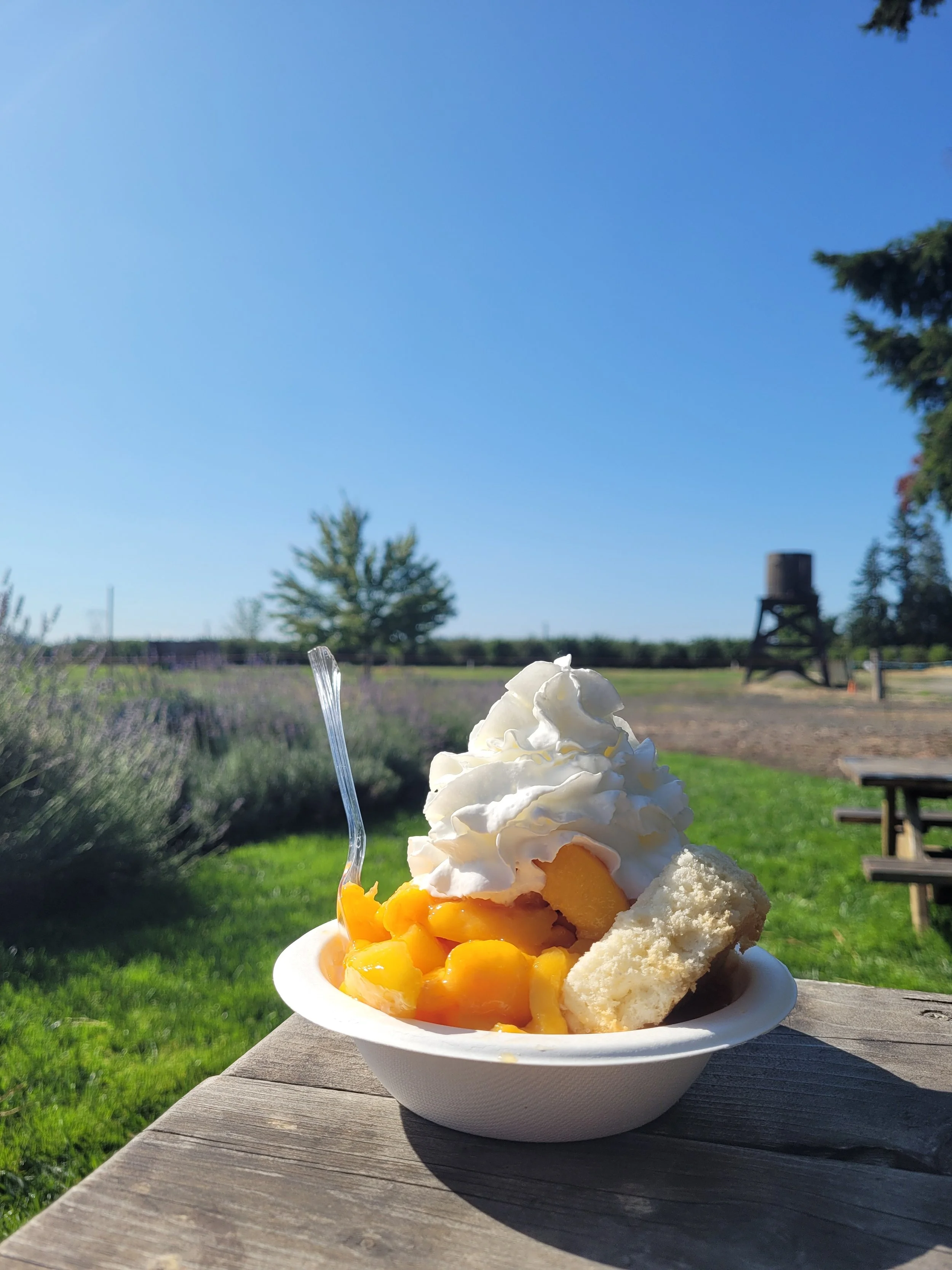 Get A Delicious treat at our Shortcake Stand | E.Z. Orchards Salem